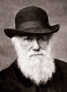 Darwin’s Theory & Organic Evolution: Understanding How Life Changed