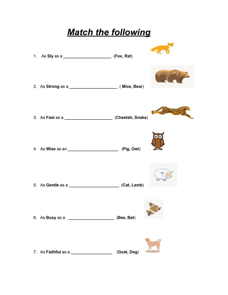 What Is It Called When You Give Animals Human Traits? A Quick Guide