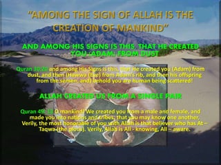 Does the Quran Depict Allah Anthropomorphically? A Deep Analysis