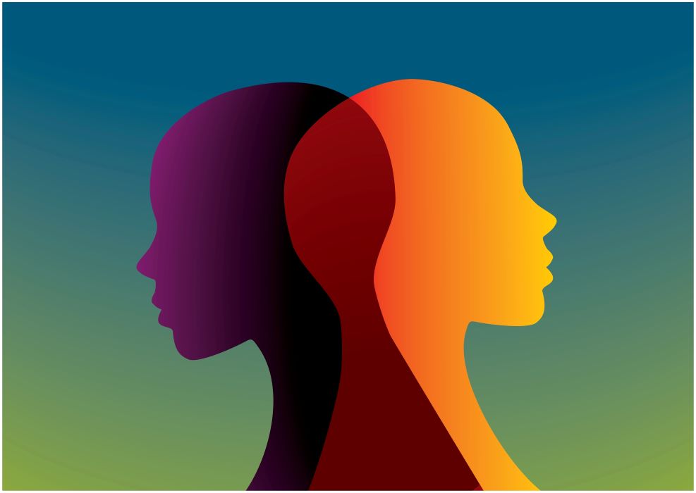 Emotional Projection on Non-Humans