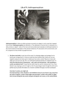 The Psychology of Anthropomorphism in Primates