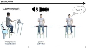 Why Do We Give Robots Human Names and Voices?