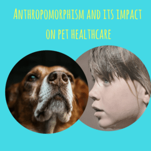 The Impact of Anthropomorphism on Mental Health Treatment