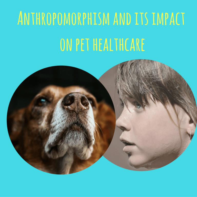 The Impact of Anthropomorphism on Mental Health Treatment