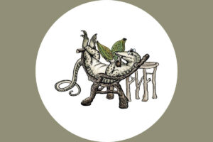 Anthropomorphism and the Development of Social Skills