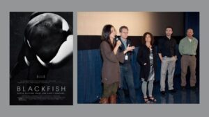 Why Do We Name Wild Animals in Documentaries?