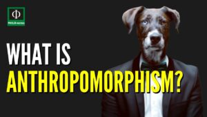 The Role of Anthropomorphism in Employee Onboarding