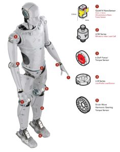 Anthropomorphism in Robot Design: Why Humanoid Robots?