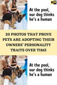 Why Do We Give Human Traits to Pets?
