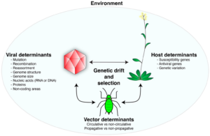 Why Do We Anthropomorphize Viruses and Bacteria?