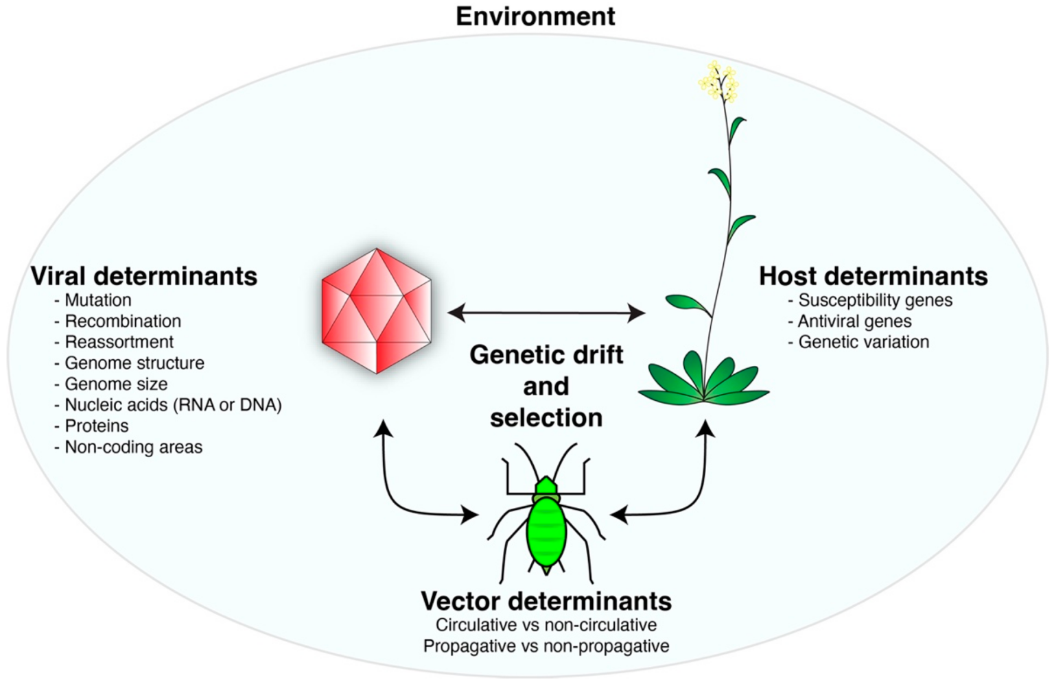 Why Do We Anthropomorphize Viruses and Bacteria?