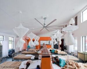 Anthropomorphism in Architecture: Designing Buildings with “Personality”