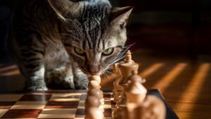 Why Do We Love Talking Animals in Fables and Fairy Tales?